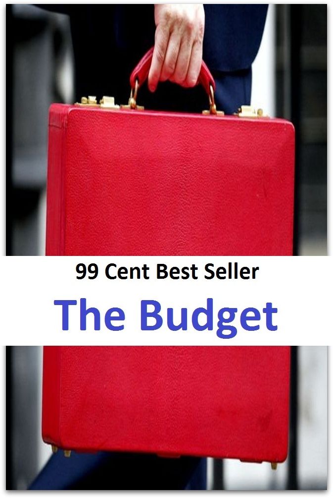 99 Cent Best Seller The Budget ( Bureaucracy , civil service, organization, system of government, government, administration, establishment, official procedure )
