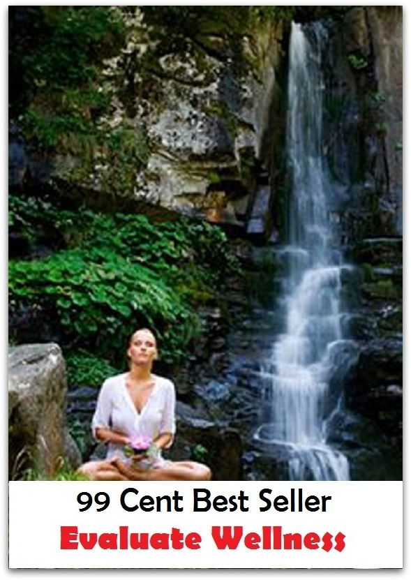 99 Cent Best Seller Evaluate Wellness ( meditation, acupuncture, stylostixis, drug, formula, medicine, remedy, fix, treatment, action, conduct, behavior, handling, dealing, management, cure, healing )