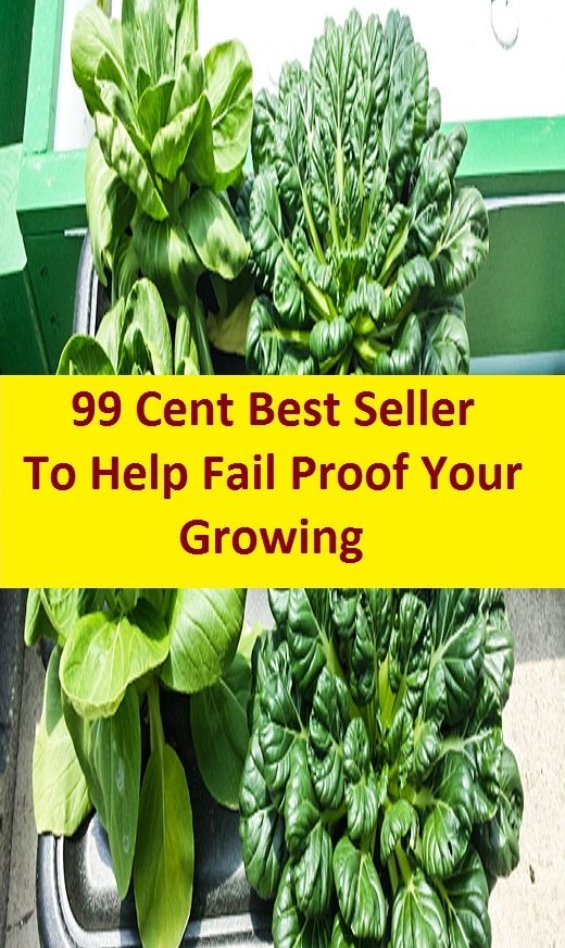 99 Cent Best Seller Steps To Help Fail Proof Your Growing ( way, method, means, technique, mode, system, approach, manner, line of attack, routine )