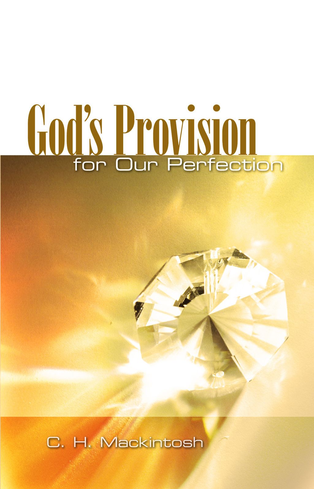 God's Provision for Our Perfection