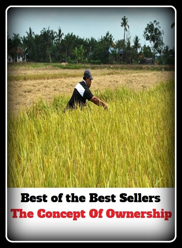 Best of the Best Sellers The Concept Of Ownership (the communist manifesto, the company, the complete meta web query language (mql) reference guide, the composition, the concept, the consumerist, the cooler, the Cornell progressive )