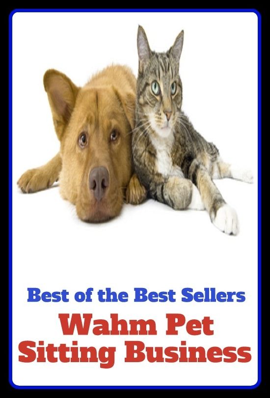 Best of the Best Sellers Warm Pet Sitting Business ( pet, favourite, favorite, situated, sitting, seated, lying, located, business, biz, merchandise, occupation, craft, calling )