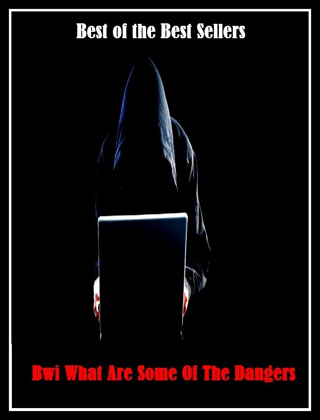 99 Cent Best Seller	Bwi What Are Some Of The Dangers (crisis,emergency,exposure,insecurity,instability,jeopardy,menace,peril,pitfall,possibility)