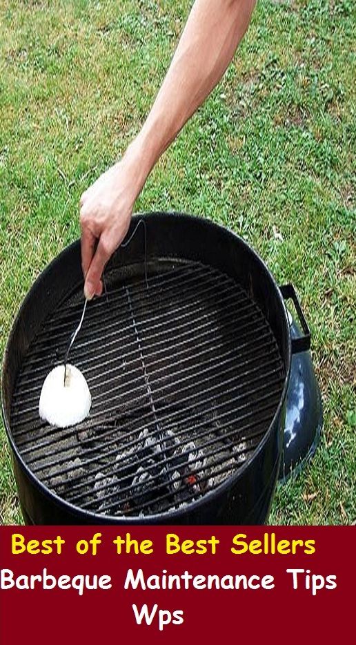 99 Cent Best Seller	Barbeque Maintenance Tips Wps (care,conservation,preservation,supply,upkeep,aliment,alimentation,alimony,allowance,bacon)