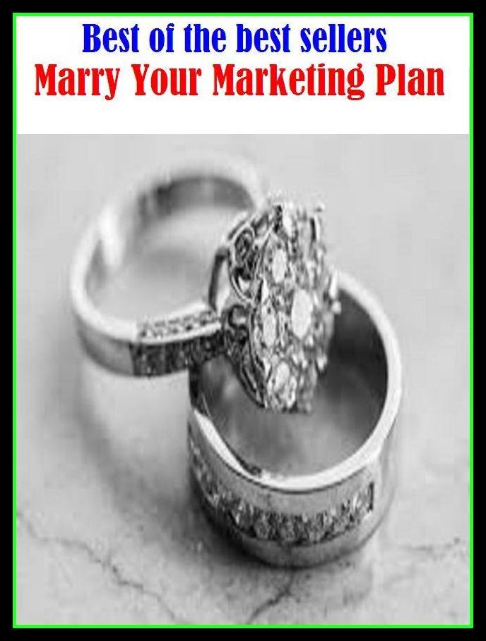 Best of the Best Sellers Marry Your Marketing Plan ( Plan, action, writing, affair, work out beforehand, aim at, work, ambition, web, anatomy, way, animus, view)