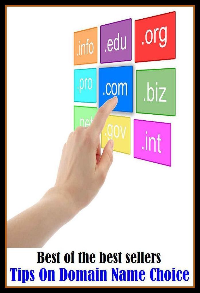Best of the Best Sellers Tips On Domain Name Choice ( shoot, germination, sprout, offset, sapling, blossom, extremity, top, chump, noddle )