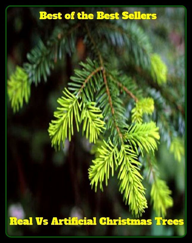 Best of the Best Sellers Real Vs Artificial Christmas Trees ( Stammbaum, yew, ailanthus, willow, alligator pear, tulip tree, almond, timber, apricot, teak, aspen, sycamore, ax, stemma )