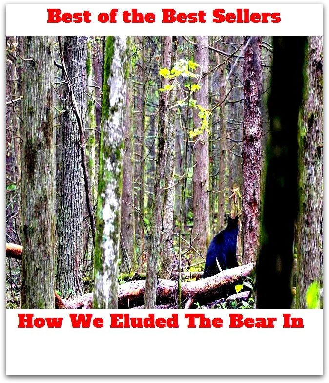 Best of the best sellers How We Eluded The Bear In ( Theology, Ethics, Thought, Theory, Self Help, Mystery, romance, action, adventure, sci fi, science fiction, drama, horror, thriller, classic, novel, literature, suspense )