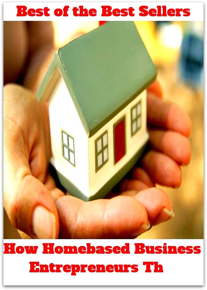 Best of the best sellers How Homebased Business Entrepreneurs Th ( managing, organization, running, supervision, administration, management, direction, admin, command, control, care )