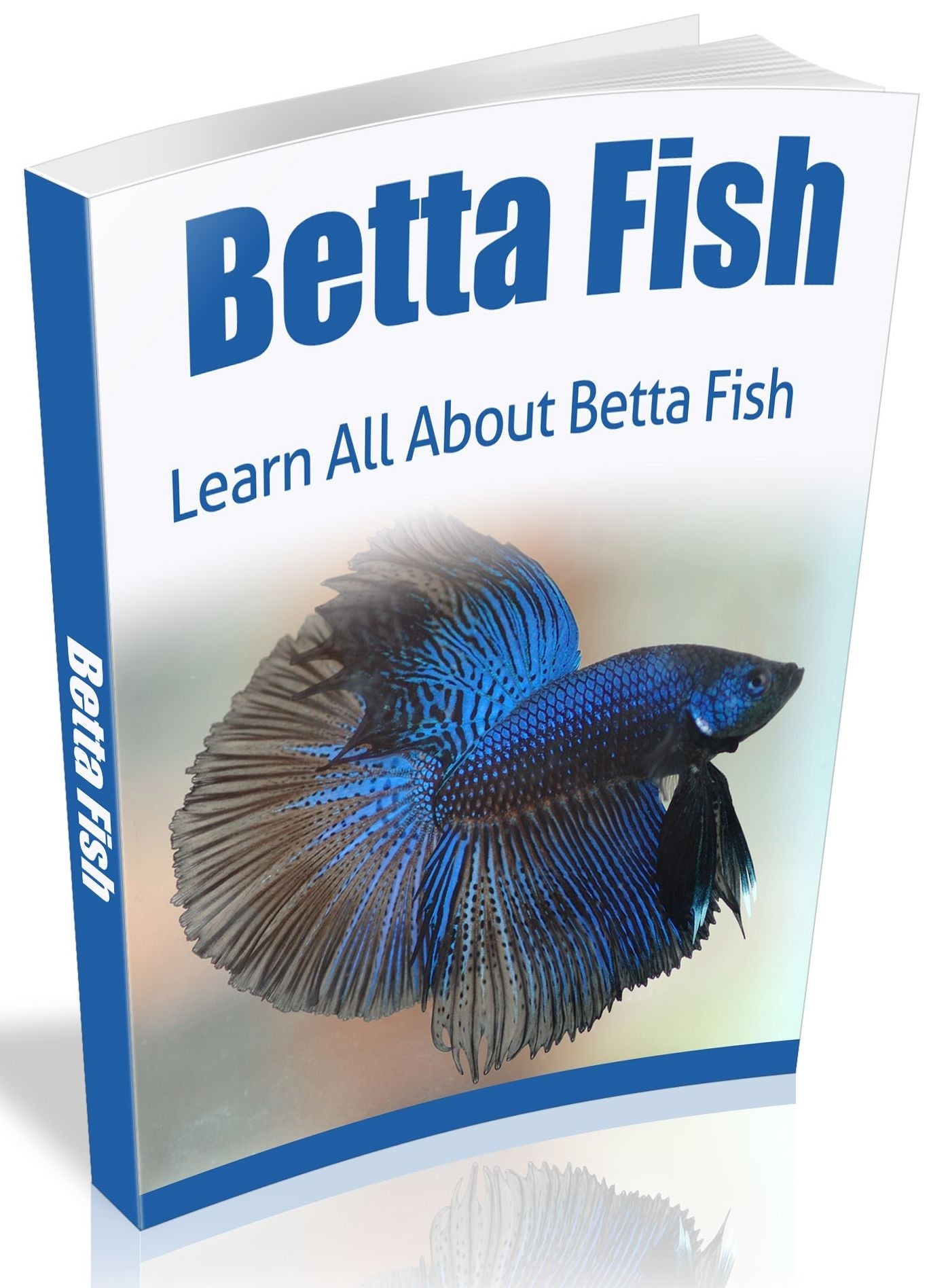 Betta Fish - Learn All About Beta Fish