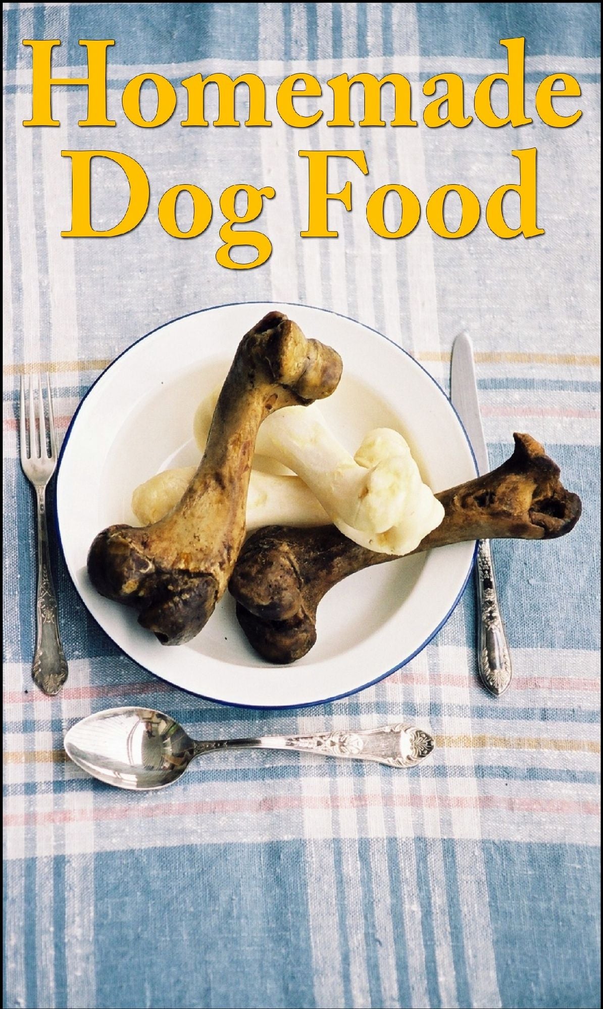 HEALTHY HOMEMADE DOG FOOD - Is It Any Good?
