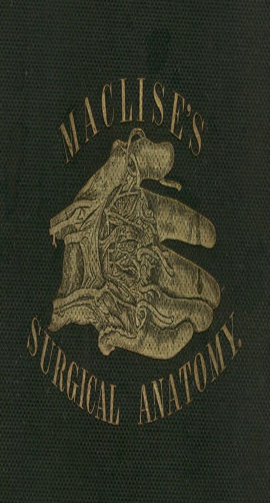 Surgical Anatomy