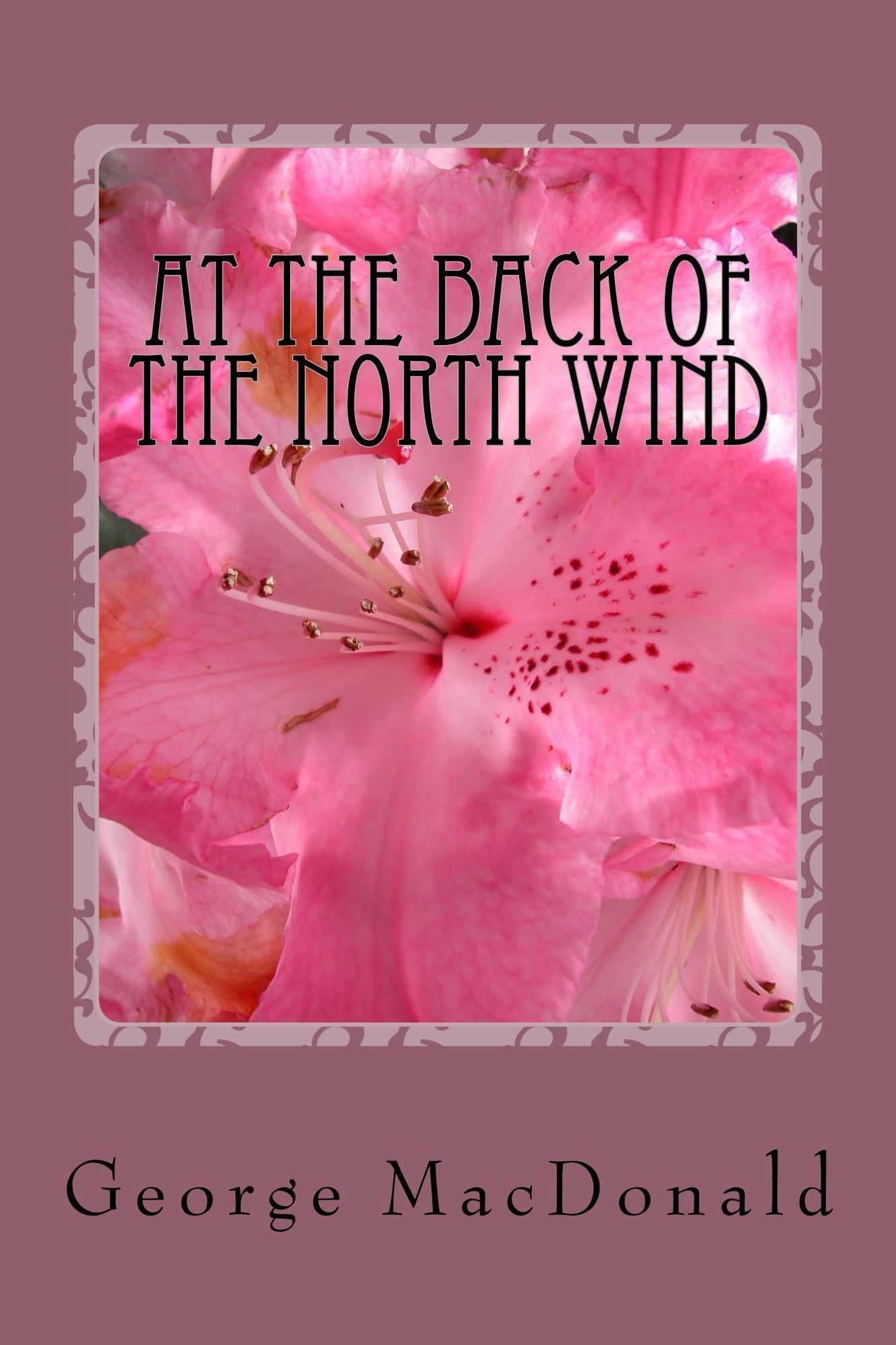 At the Back of the North Wind (Illustrated Edition)