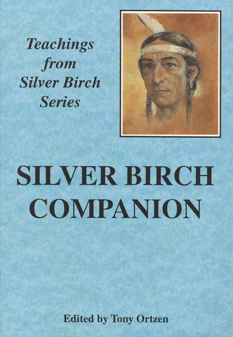 Silver Birch Companion