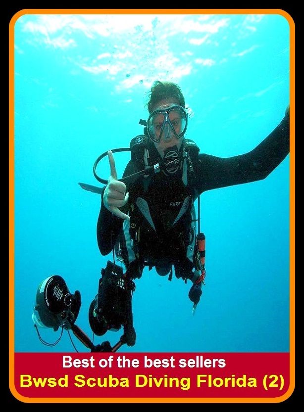Best of the Best Sellers Bwsd Scuba Diving Florida (submersion, dipping, diving, immersion, ablution, sinking, go in, dip)