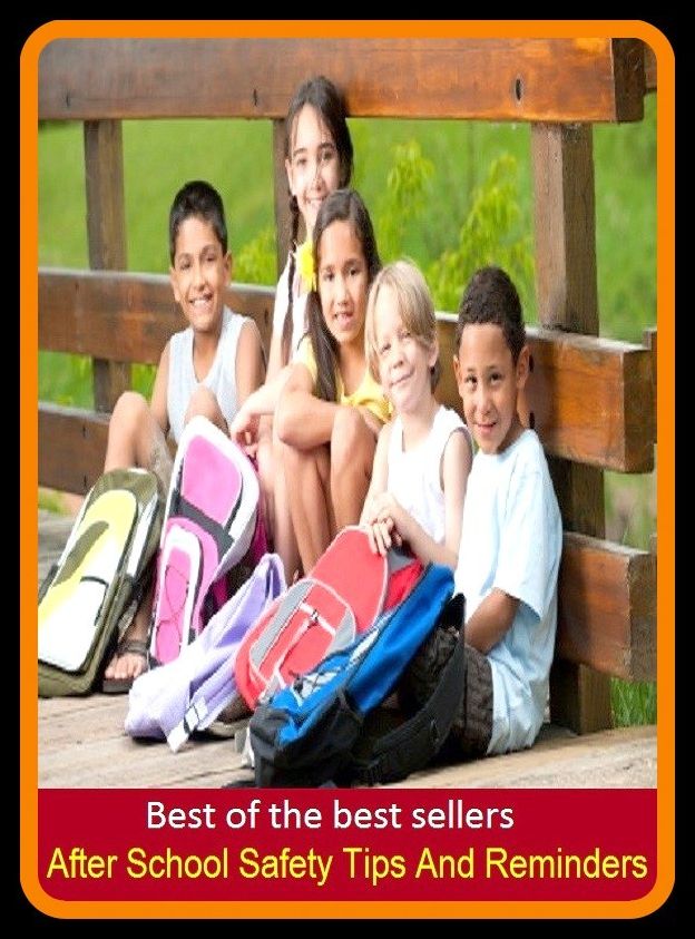 Best of the Best Sellers After School Safety Tips And Reminders (security, safety, surety, indemnity, revival, maintenance, immunity, shelter, cover, asylum)