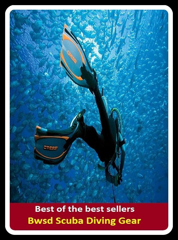 Best of the Best Sellers Bwsd Scuba Diving Gear (submersion, dipping, diving, immersion, ablution, sinking , go in, dip)