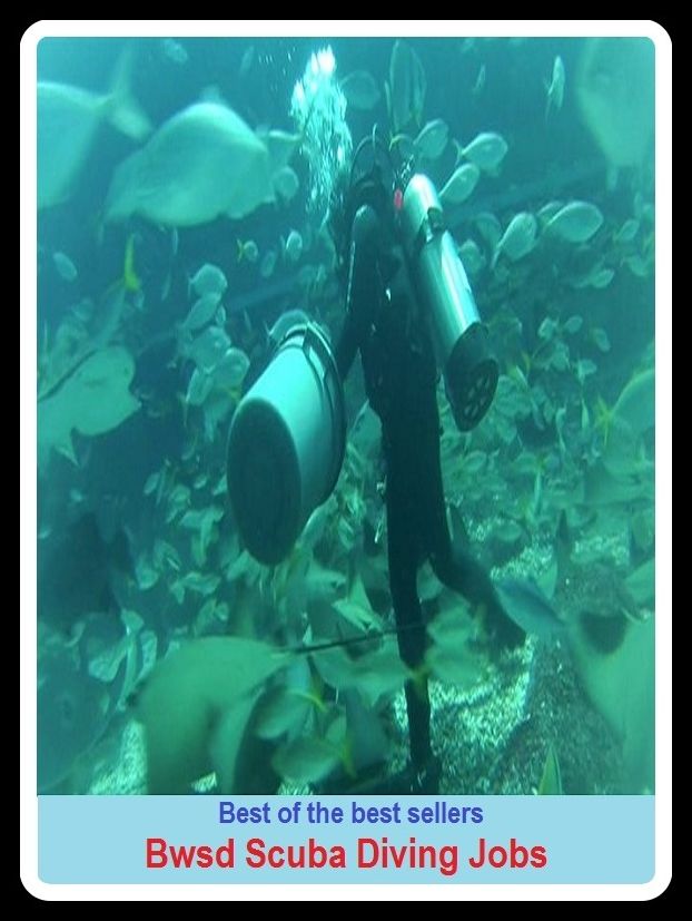 Best of the Best Sellers Bwsd Scuba Diving Jobs (submersion, dipping, diving, immersion, ablution, sinking , go in, dip , drop , jump)