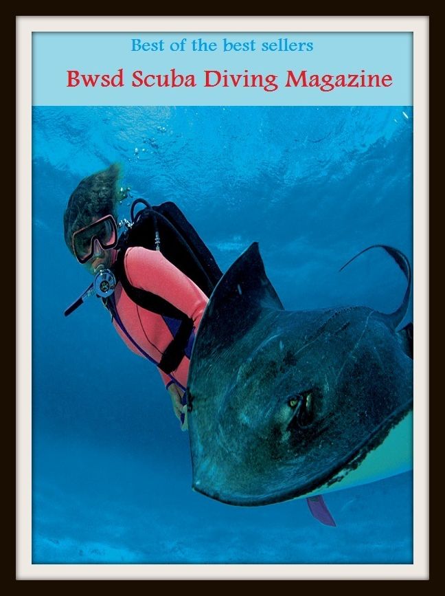 Best of the Best Sellers Bwsd Scuba Diving Magazine (submersion, dipping, diving, immersion, ablution, sinking , go in, dip , drop , jump)