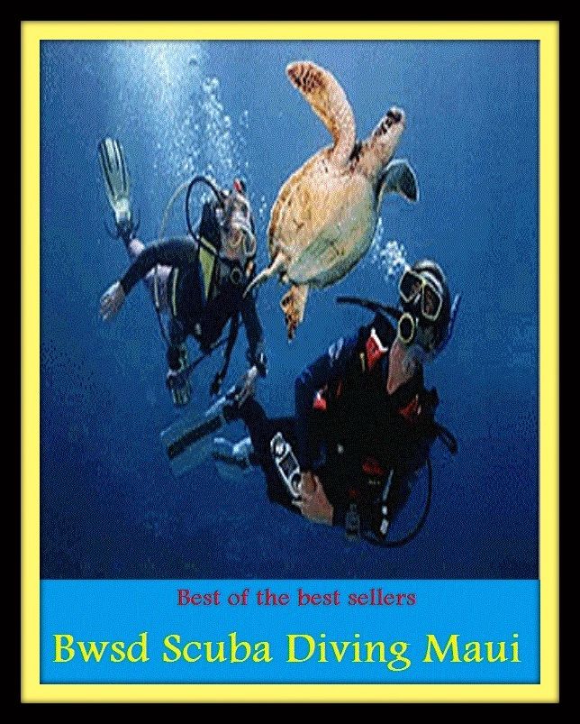 Best of the Best Sellers Scuba Diving Maui (submersion, dipping, diving, immersion, ablution, sinking , go in, dip , drop , jump)