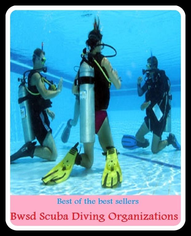 Best of the Best Sellers Scuba Diving Organizations (submersion, dipping, diving, immersion, ablution, sinking , go in, dip , drop , jump)