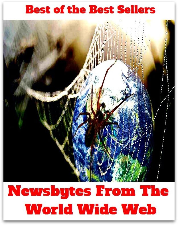 Best of the Best Sellers Newsbytes From The World Wide Web (community, nation, continent, much, cosmos, mother earth, created nature, men, creation, mass)