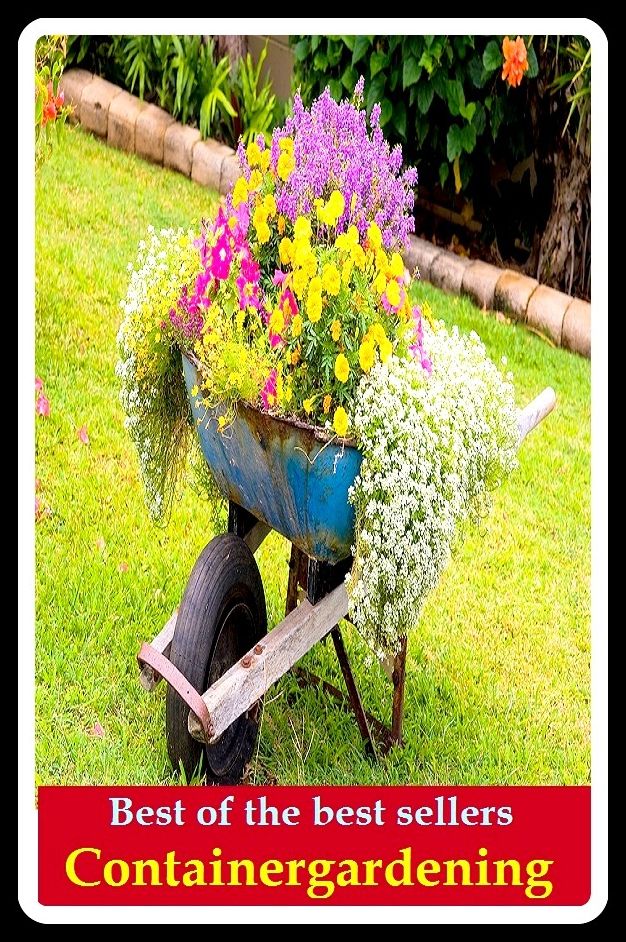 Best of The Best Sellers Containergardening (back yard, bed, field, greenhouse, nursery, patio, terrace, conservatory, enclosure, hothouse)