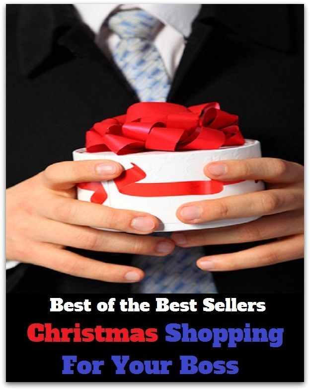 Best of the best seller Christmas Shopping For Your Boss(browsing,ecommerce,spending,purchasing,electronic,commerce,acquiring,obtaining,possession,procuring)