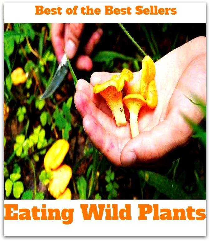 Best of the best seller Eating Wild Plants(bread,cooking,cuisine,drink,fare,feed,foodstuff,meal,meat,snack,aliment)