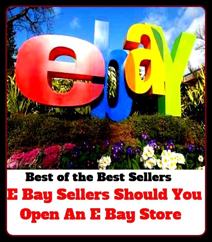 best of the best seller E Bay Sellers Should You Open An E Bay Store (Internet, World Wide Web, communications, computer network, data bank, data network, electronic highway, email, global village, infobahn, virtual community)