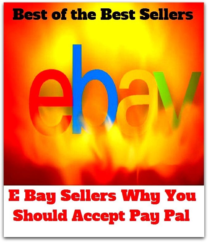 best of the best seller E Bay Sellers Why You Should Accept Pay Pal (Internet, World Wide Web, communications, computer network, data bank, data network, electronic highway, email, global village, infobahn, virtual community)