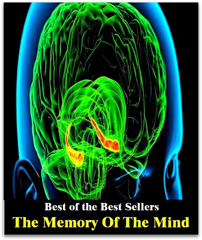 Best of the best sellers The Memory Of The Mind (consciousness, mind, recollection, remembrance, thought, recall, awareness, cognizance, flashback, memorization)