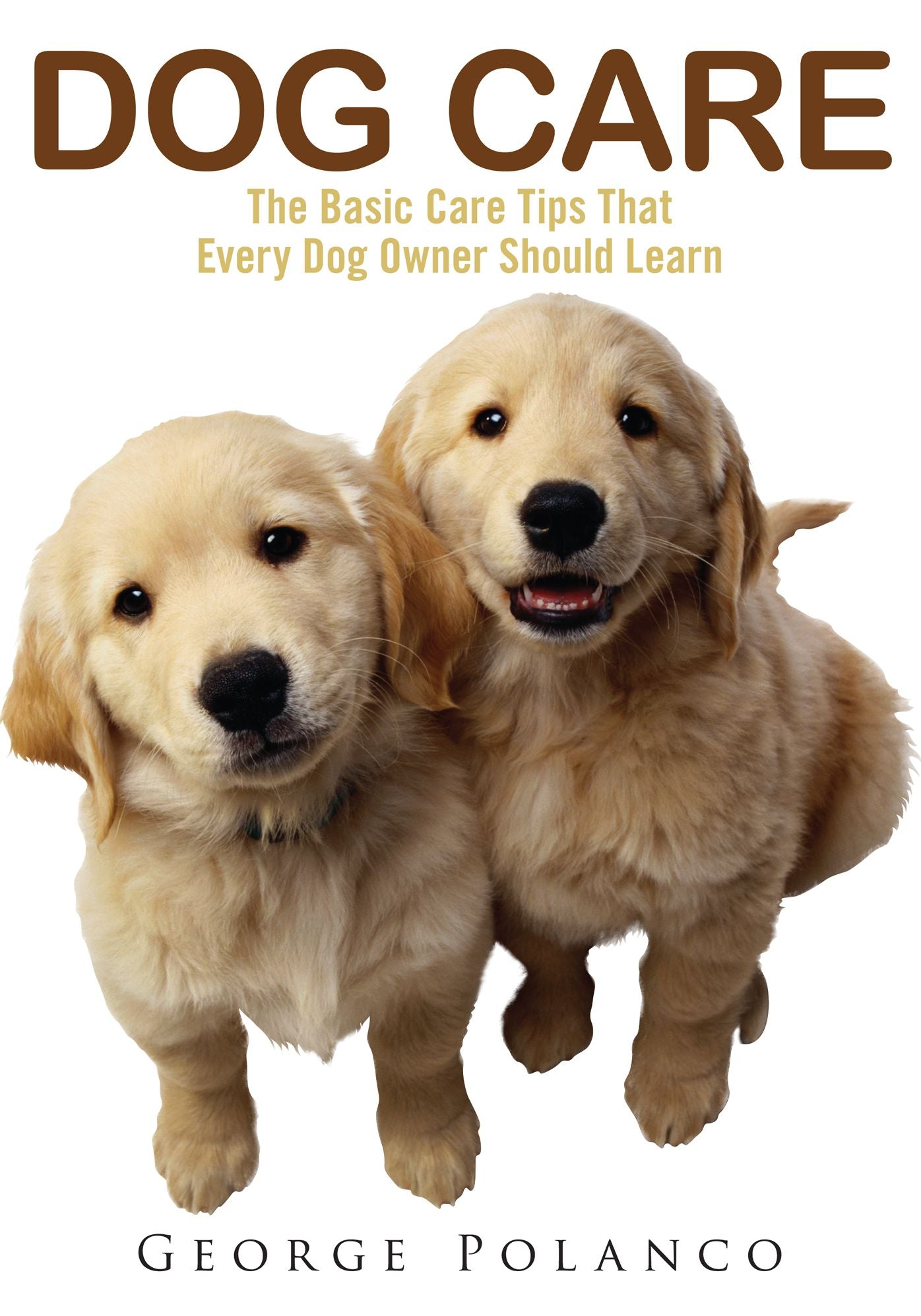 Dog Care