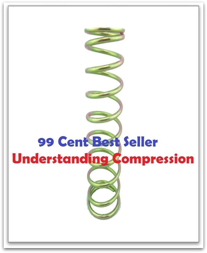 99 Cent Best Seller Understanding Compression ( physical object, such as a person, situation, Heck, compression fracture, software features, Video Compression, file compression, mental process, antonyms )