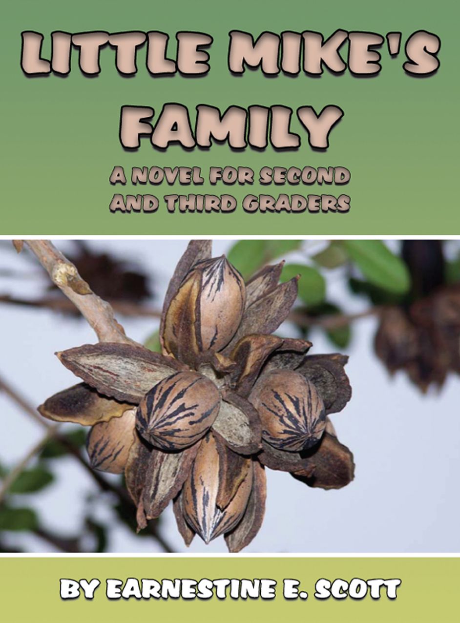 Little Mike's Family: A Novel for Second and Third Graders