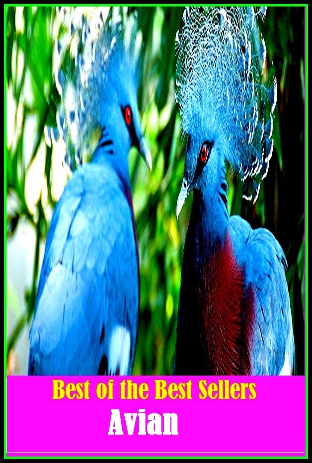 99 Cent Best Seller Avian ( autobiography, diary, journal, life, life story, memoir, picture, profile, sketch, confessions, experience, letter, life history, personal account )