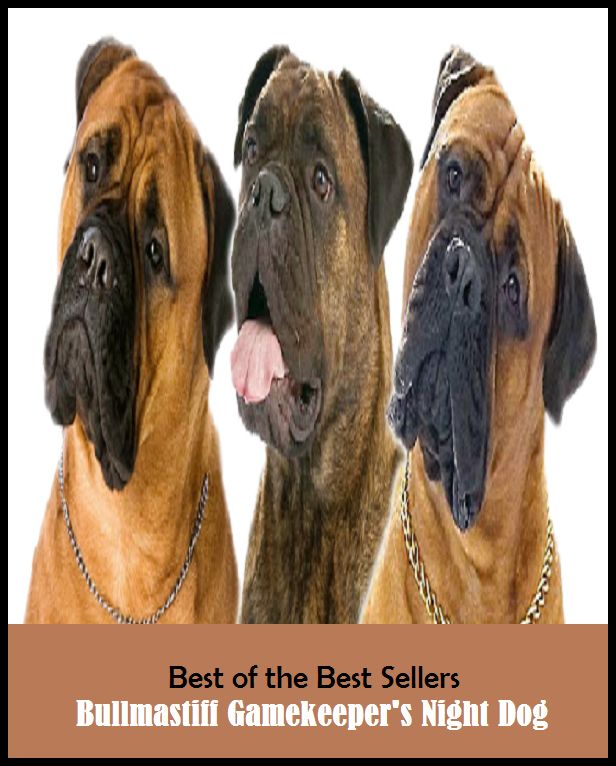 99 Cent Best Seller Bullmastiff Gamekeeper S Night Dog ( Theology, Ethics, Thought, Theory, Self Help, Mystery, romance, action, adventure, sci fi, science fiction, drama, horror, thriller, classic, novel, literature, suspense )