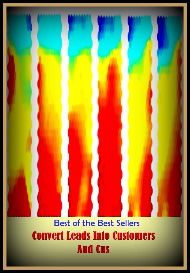 99 Cent Best Seller Convert Leads Into Customers And Cus ( managing, organization, running, supervision, administration, management, direction, admin, command, control, care )