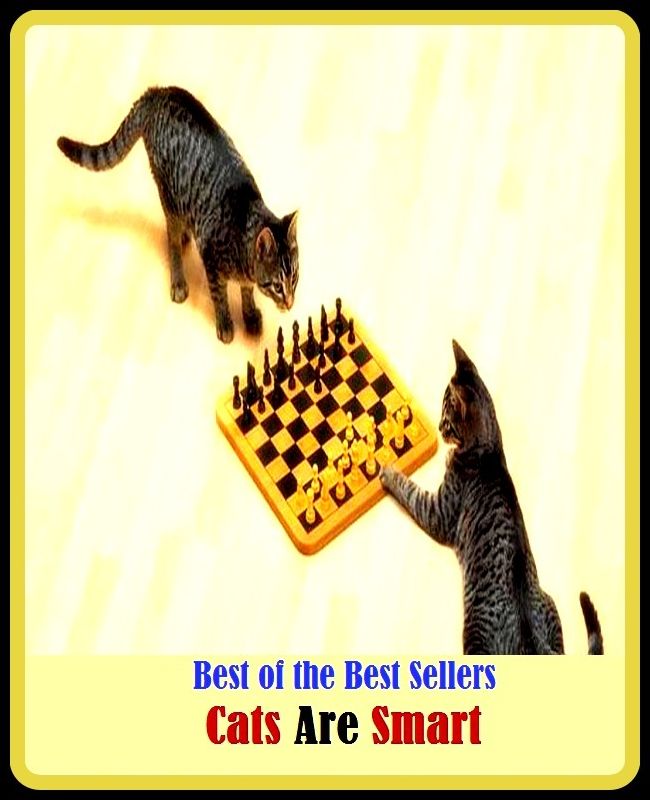 99 Cent Best Seller Cats Are Smart ( families, household, familial, domestic, relatives, households, dynasty, home, familiar, household-type, family-run, family-related, family-owned, kin, family-based, marital, clan, parents )