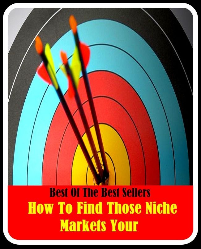 99 Cent Best Seller How To Find Those Niche Markets Your ( Theology, Ethics, Thought, Theory, Self Help, Mystery, romance, action, adventure, sci fi, science fiction, drama, horror, thriller, classic, novel, literature, suspense )
