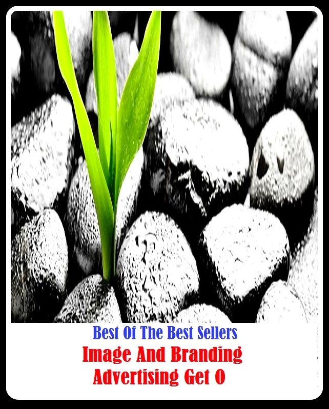 99 Cent Best Seller Image And Branding Advertisingkget O ( branding, stigmatize, taint, disgrace, mark, assembly, gathering, marshalling, rally, survey, marketing, advertising, promotion, selling )