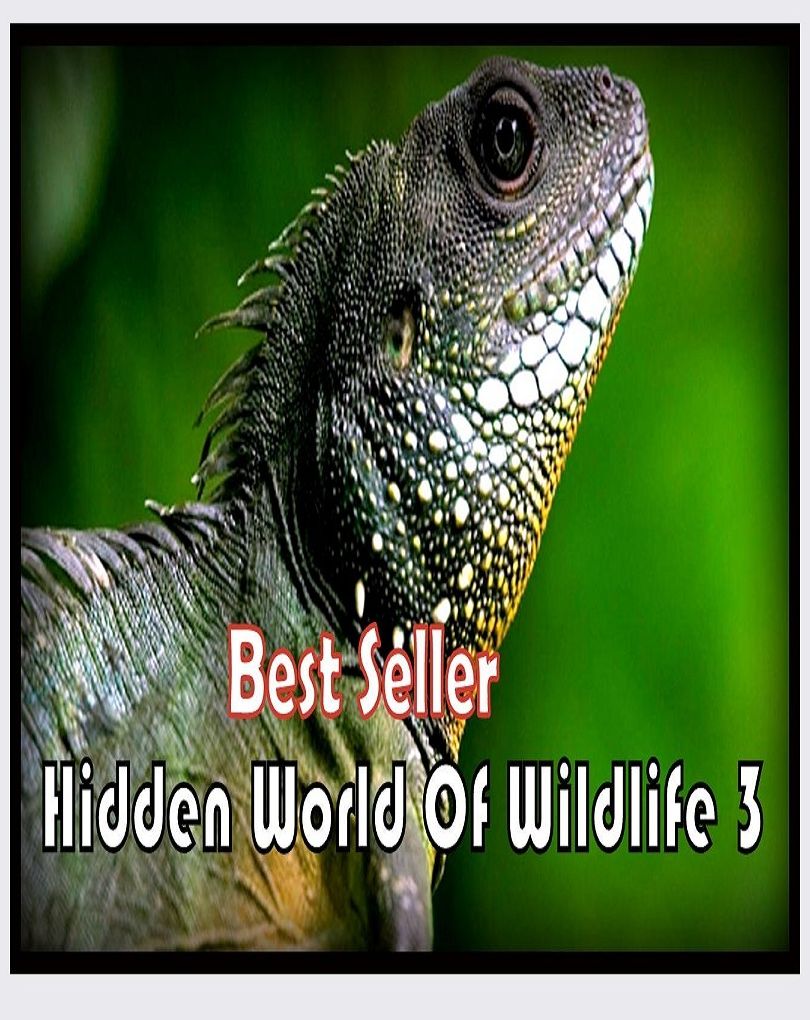 Best Seller Hidden World of Wildlife 3 ( spiders , tarantula , sea, creature, sea world, underwater world, horse, wild, forest, beast, animals, elephant, photo, fish, wildlife, ocean, shark, octopus )
