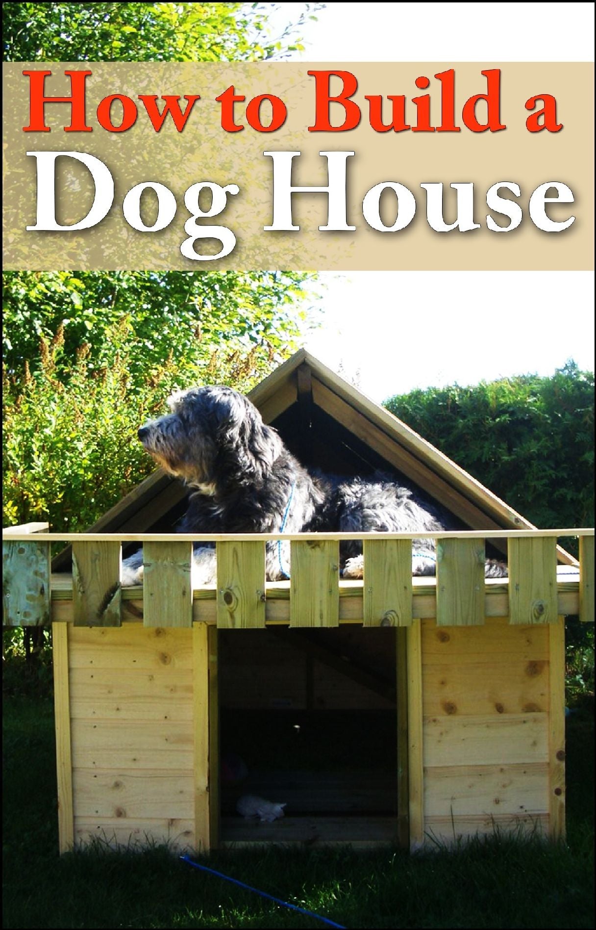 How to Build a Dog House - Providing Comfort for Your Outdoorsy Dog