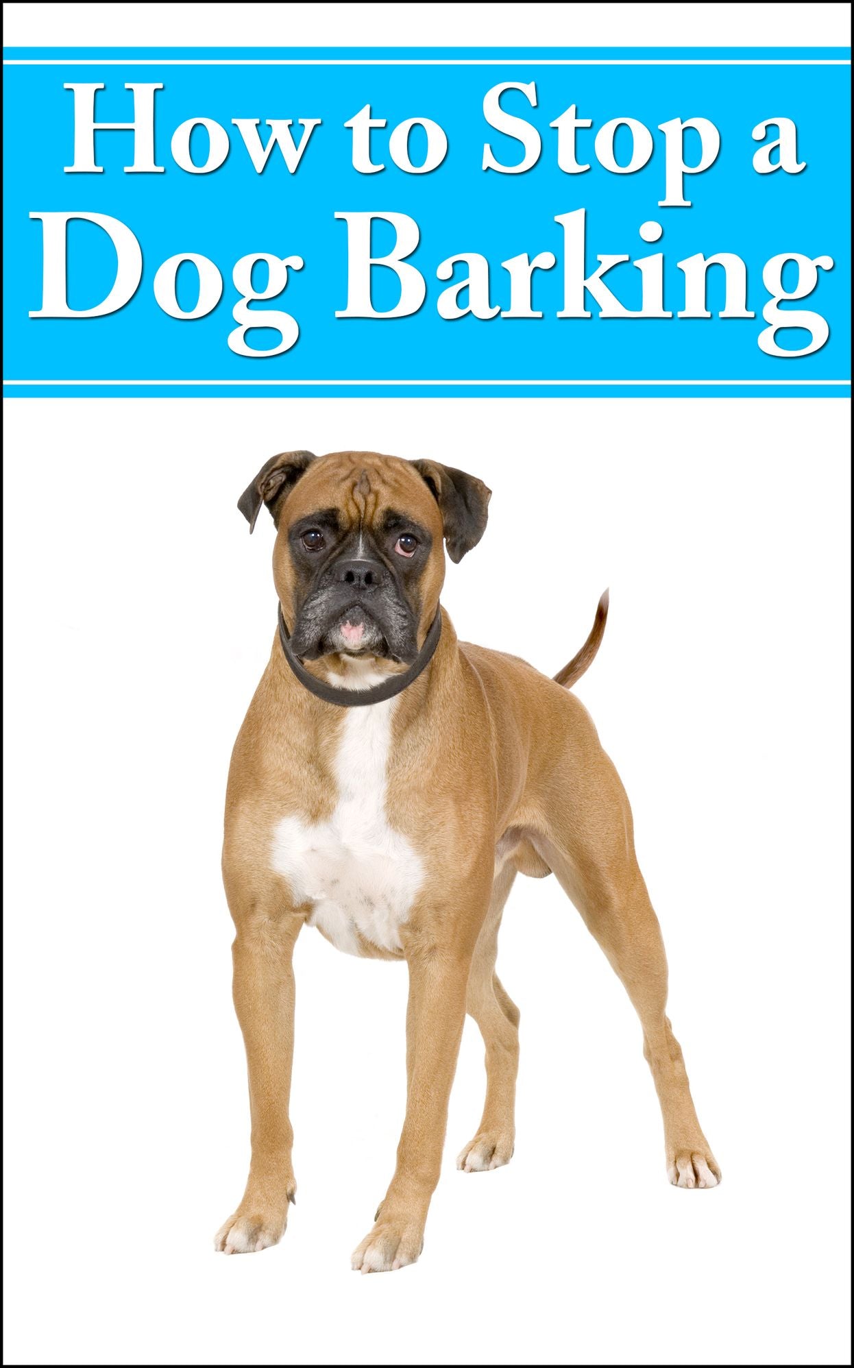 How to Stop a Dog Barking - Methods to Stop Your Dogg