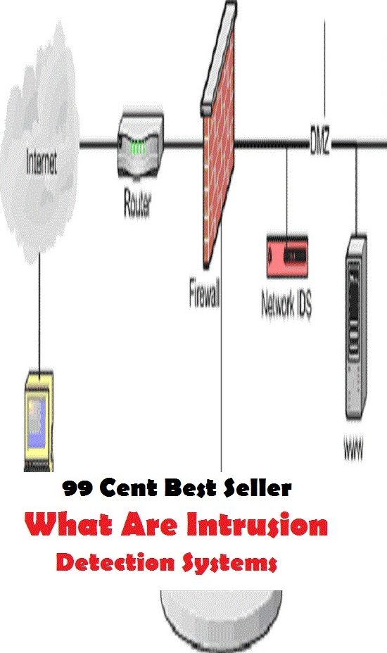 99 Cent Best Seller What Are Intrusion Detection Systems ( approach, ideology, method, theory, hypothesis, conjecture, speculation, assumption, premise, presumption, guess )