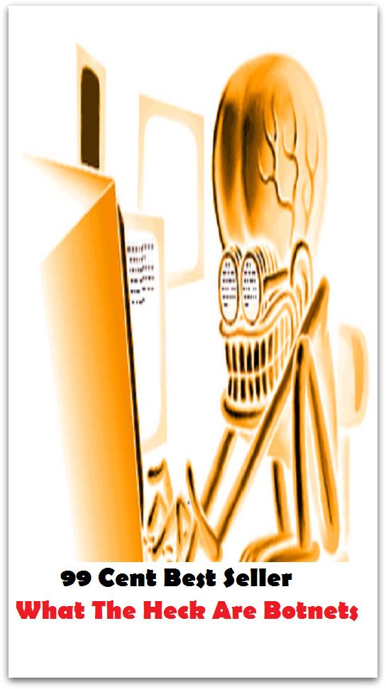99 Cent Best Seller What The Heck Are Botnets ( approach, ideology, method, theory, hypothesis, conjecture, speculation, assumption, premise, presumption, guess )