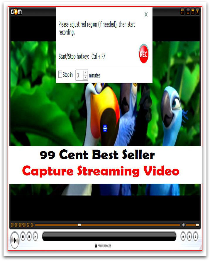 99 Cent best seller Capture Streaming Video (streamertail, streamflow, streamful, streaminess, captopril, captor, captricity, capturable, capture, capture the flag, captured, captureproof, capturer, capturing )