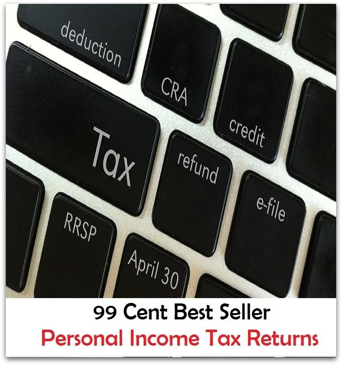 99 Cent Best Seller Personal Income Tax Returns ( tax income, revenue, taxation, tax revenue, tax, revenue enhancement, measure, assess, value, task, appraise, evaluate, valuate )