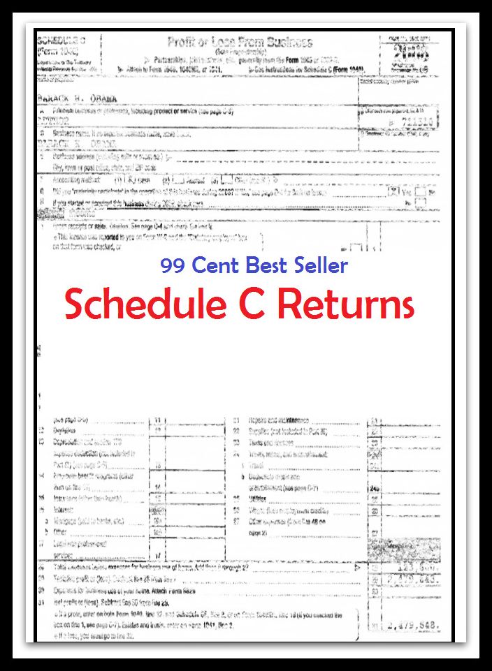 99 Cent Best Seller Schedule C Returns ( tax income, revenue, taxation, tax revenue, tax, revenue enhancement, measure, assess, value, task, appraise, evaluate, valuate )