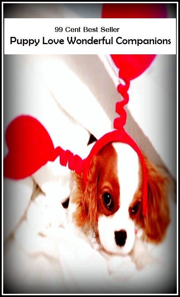 99 Cent Best Seller Puppy Love Wonderful Companions ( adventure, fantasy, romantic, action, fiction, humorous, historical, romantic, thriller, crime, journey, battle, war, science fiction, amazing, Greeks, Trogan war, romance )